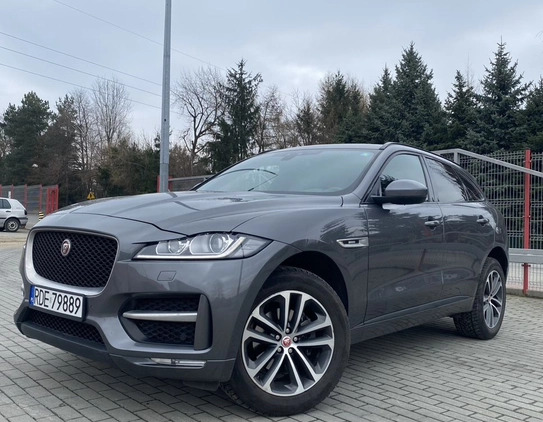 Jaguar F-Pace cena 97800 przebieg: 140000, rok produkcji 2017 z Dębica małe 172